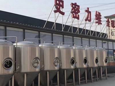 安徽精酿啤酒设备厂—市场规模与跨界新需求